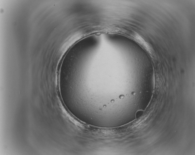 X0000087391095200704271616