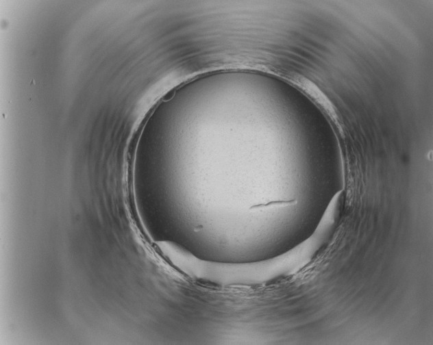 X0000087391096200704271616