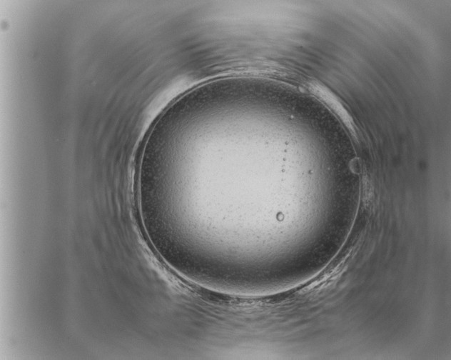 X0000087391099200704271616