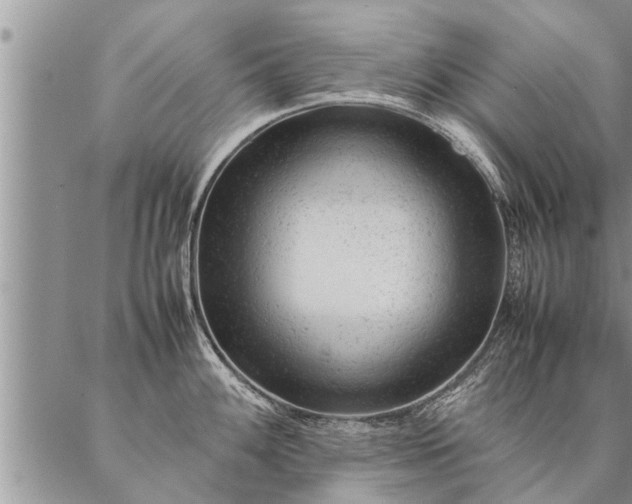 X0000087391100200704271616