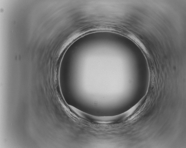 X0000087391101200704271616