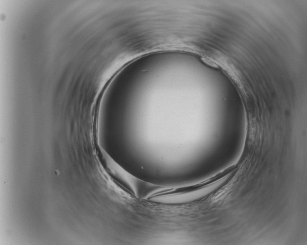 X0000087391102200704271616