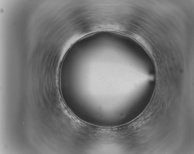 X0000087391104200704271616