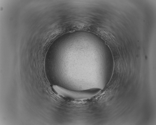 X0000087391105200704271615