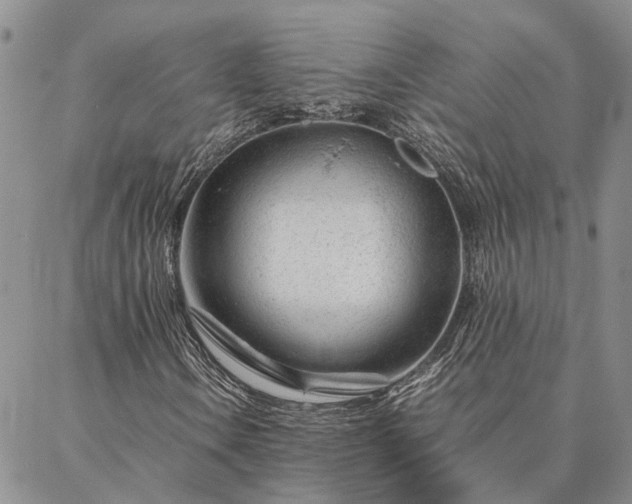 X0000087391106200704271615