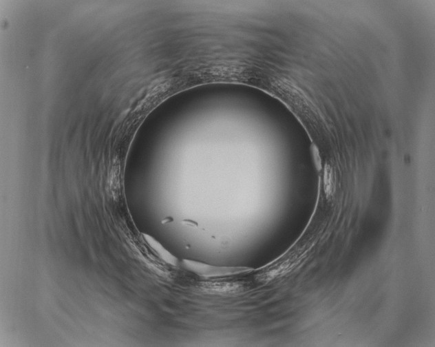 X0000087391107200704271615