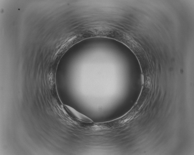 X0000087391108200704271615