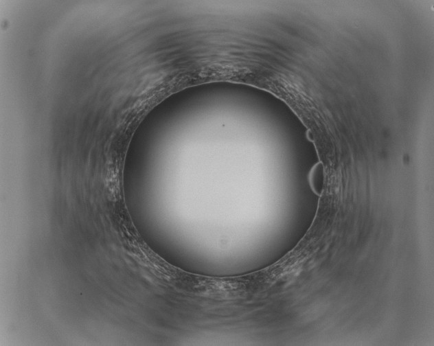 X0000087391109200704271615