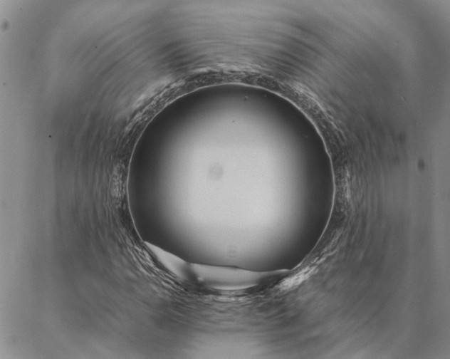 X0000087391110200704271615