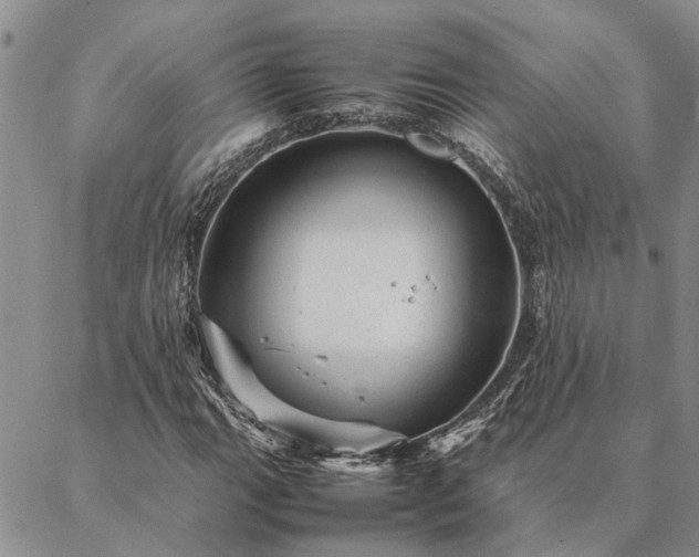 X0000087391111200704271615