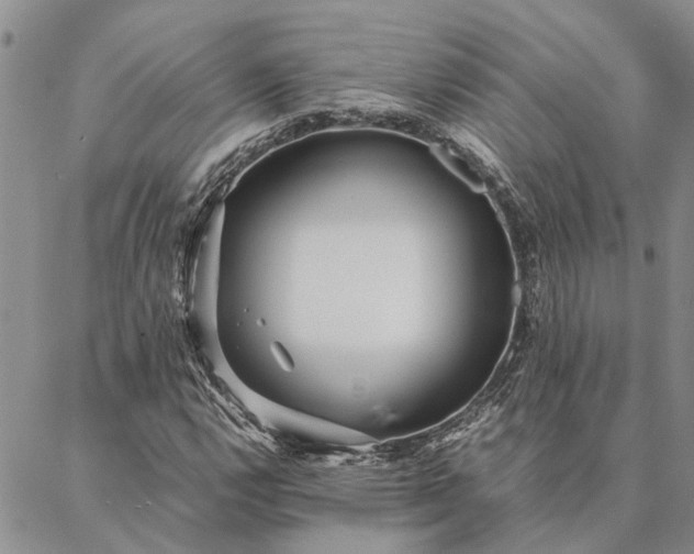 X0000087391112200704271615