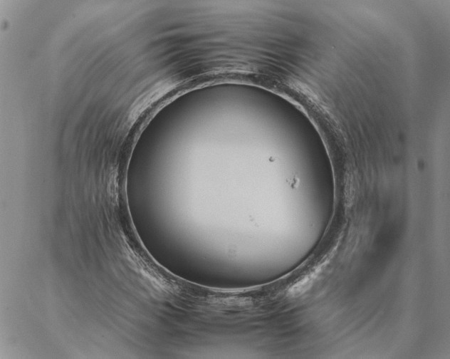 X0000087391113200704271615