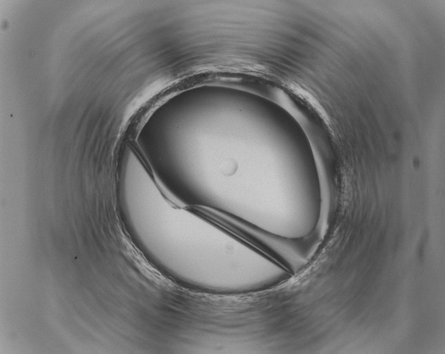 X0000087391114200704271615