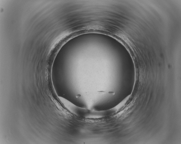 X0000087391115200704271615