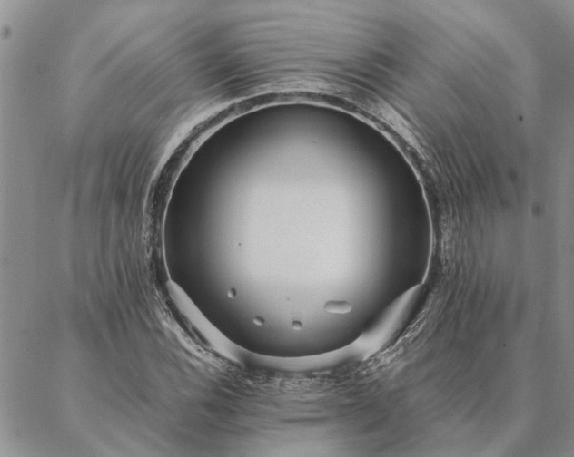 X0000087391116200704271615