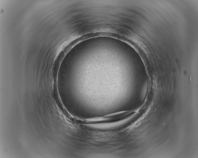 X0000087391117200704271615