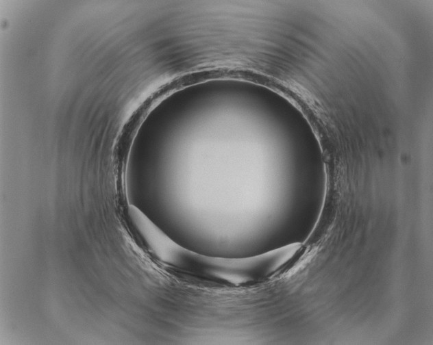 X0000087391118200704271615