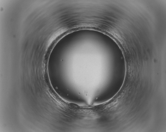 X0000087391119200704271615