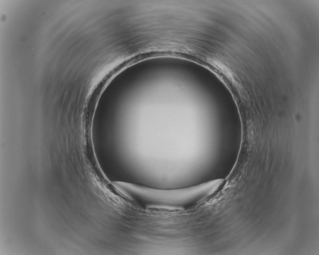 X0000087391120200704271615