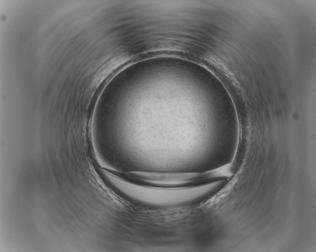 X0000087391121200704271615