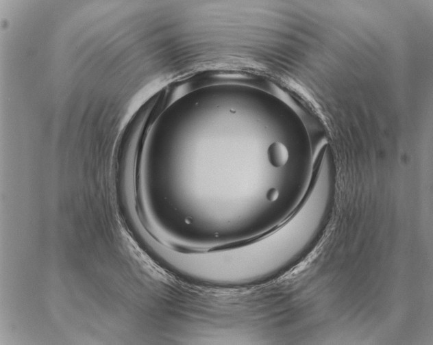 X0000087391122200704271615