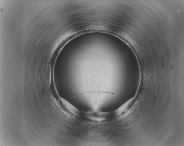 X0000087391123200704271615