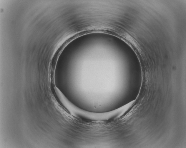 X0000087391124200704271615