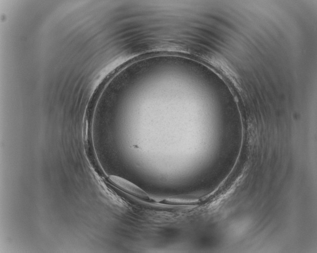 X0000087391125200704271615