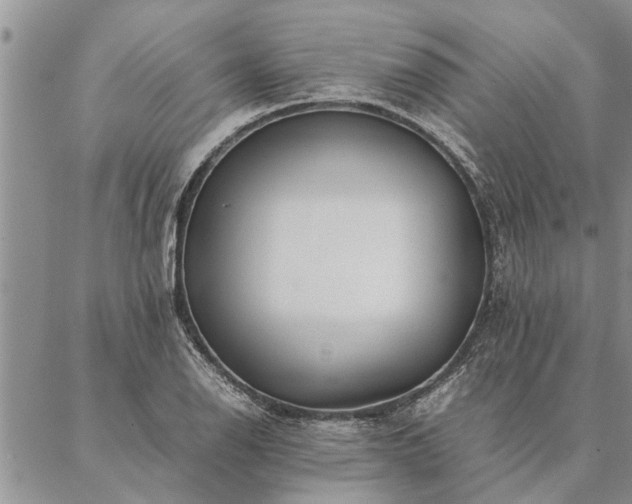 X0000087391126200704271615