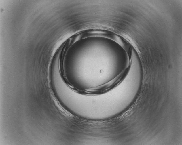 X0000087391128200704271615