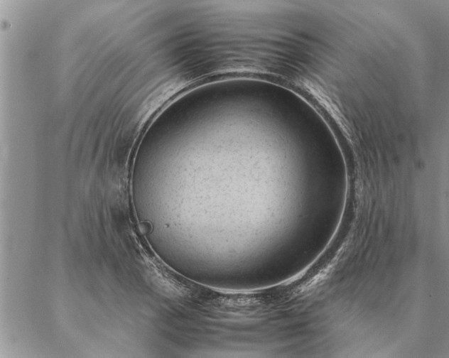 X0000087391129200704271615