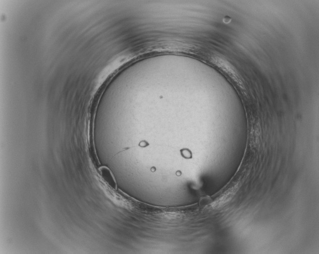 X0000087391130200704271615