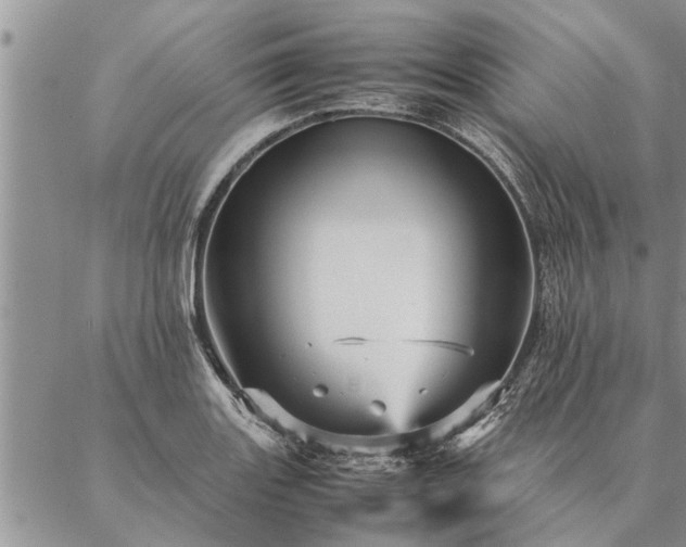 X0000087391131200704271615