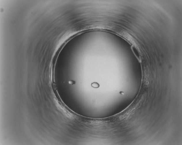 X0000087391132200704271615