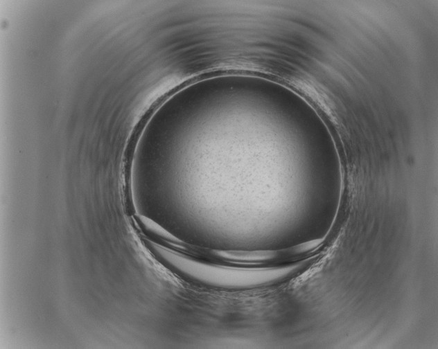 X0000087391133200704271615