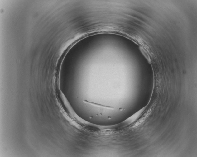 X0000087391134200704271615