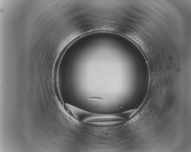 X0000087391135200704271615