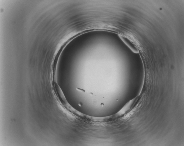 X0000087391136200704271615