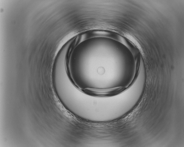 X0000087391138200704271616