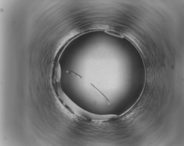 X0000087391139200704271616