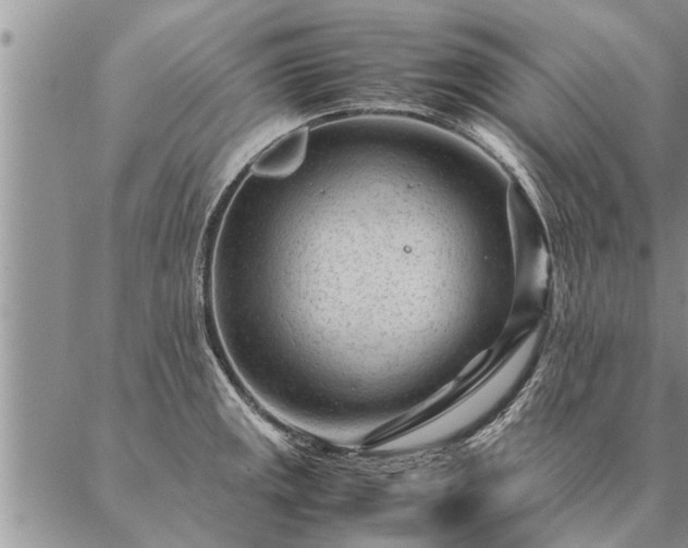 X0000087391141200704271616