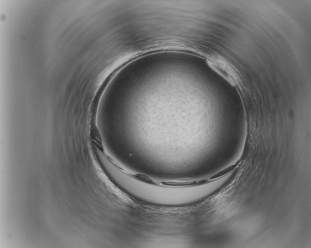 X0000087391142200704271616