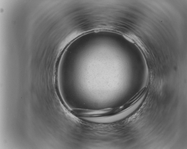 X0000087391143200704271616