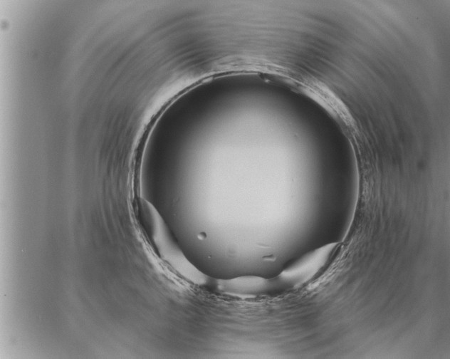 X0000087391144200704271616