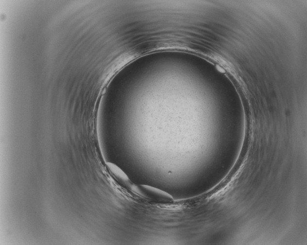 X0000087391145200704271616