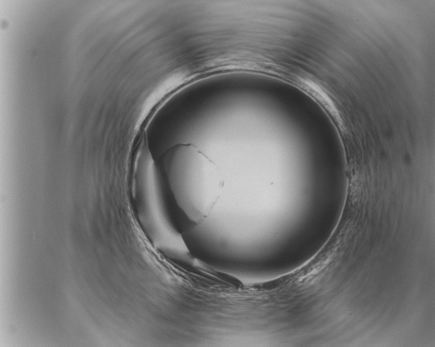 X0000087391146200704271616