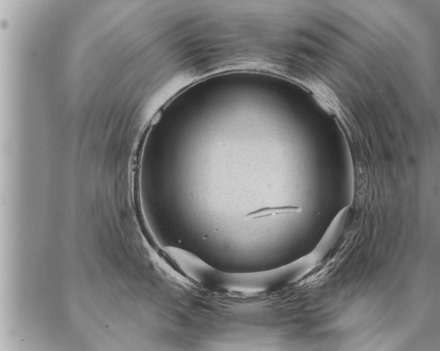 X0000087391151200704271616