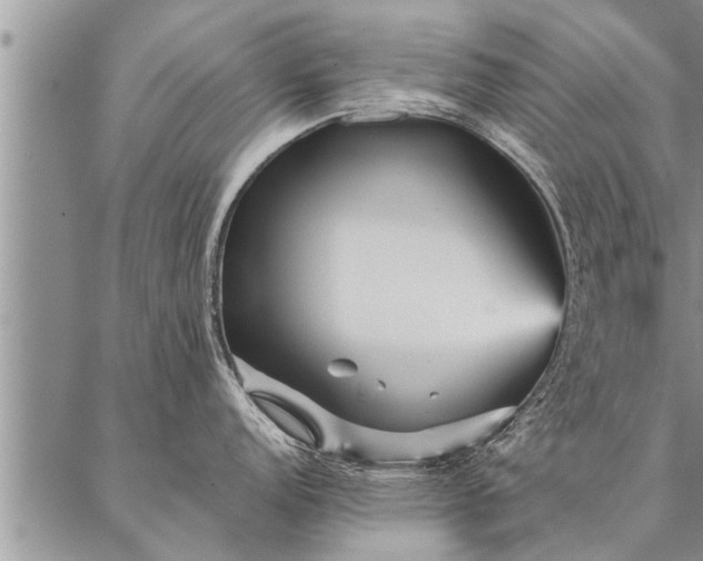 X0000087391152200704271616