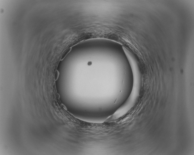 X0000087391153200704271615