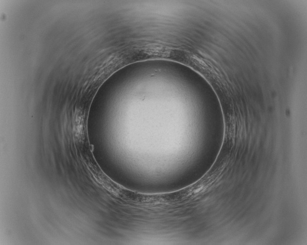 X0000087391154200704271615